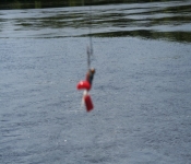 TwoRivers2008 243